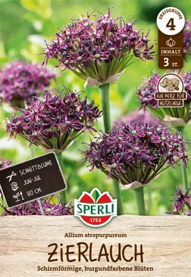 Produktbild von SPERLI Premium Zierlauch atropurpureum 3 Zwiebeln