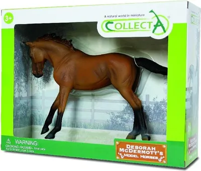 Produktbild von Anglo-Saxon Thoroughbred