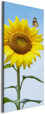 Produktbild von Wallario Premium Leinwandbild Sonnenblume mit Schmetterling in Größe 30 x 75 cm