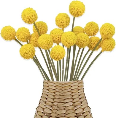 Produktbild von 18 Stück Trockenblumen, getrocknete Blumen, Kunstblumen, natürliche Blumen, getrocknete dekorative Blumen, Kunstballblumen, für Blumenarrangements, Hochzeit, Zuhause, hohe Vase
