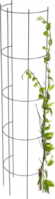 Obrázek produktu pro Zahradní pergola – kovová opora pro popínavé rostliny – výška 150 cm – pro růže a popínavé rostliny – stabilní – černá