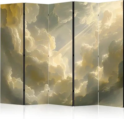 Produktbild von 5-teiliger Einseitiger Vlies Paravent - Enchanting Play of Colors Against the Clouds 225x172 cm Landschaften b-H-10016-z-a