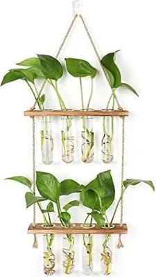 Produktbild von Hyindoor Hängende Propagation Station Wandvase Reagenzglas Vase Vermehrungsstation Für Hydrokultur Pflanzen Vintage Dekovase Mit Holzregal Für Hause Büro Wohnzimmer Küche,8 Rohr, 2 Stufen