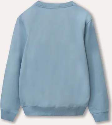 Produktbild von Jungen-Sweatshirt Nobody - Blau - 128