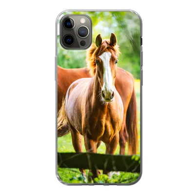 Produktbild von MuchoWow® Handyhülle Schutzhülle Hülle für iPhone 13 Pro Max Pferde - Licht - Wiese Silikon Softcase Handy Hülle - Mobiltelefon