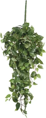 Produktbild von Mica Decorations Scindapsus hängende Kunstpflanze - H80 cm - Grün