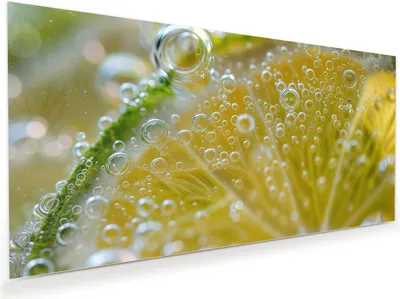 Produktbild von Glasbild 120x60cm in XXL für Wohnzimmer, Schlafzimmer Motiv Zitronenscheibe