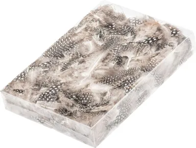 Produktbild von Perlhuhnfedern in Natur im Beutel mit 15g  | Deko-Federn
