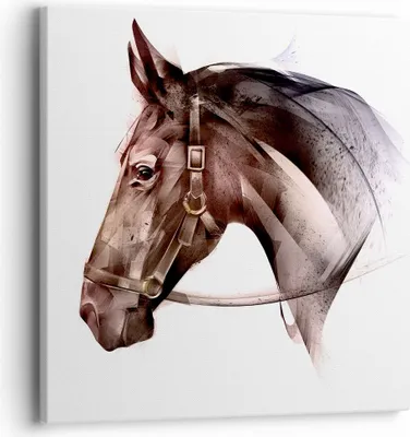 Produktbild von Bild auf Leinwand - Leinwandbild - Pferd Abstraktion - 40x40cm - Wand Bild - Wanddeko - Wandbilder - Leinwanddruck - Bilder - Kunstdruck - Wanddekoration - Leinwand bilder - Wandkunst - AC40x40-4106