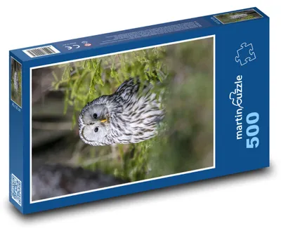 Produktbild von Puzzle 500 Eule im weißen Wald - martinpuzzle