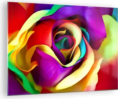 Produktbild von Bilder auf glas - Blume Farbe Rose - 70x50cm - Glasbilder - Wandbilder - Kunstdruck - zum Aufhängen bereit - Wanddekoration aus Glas - Glas Bilder - Wandbild auf Glas - Einteilig - GAA70x50-3623