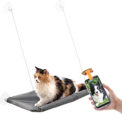 Immagine prodotto di Confezione di morsetti per selfie con animali domestici e amaca per gatti InnovaGoods