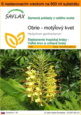 Obrázok produktu pre SAFLAX Garden in the bag - Obrie - motýľový kvet - Hedychum gardnerianum - 10 Semená - S pestovateľským substrátom v praktickom samostaviteľnom vrecku