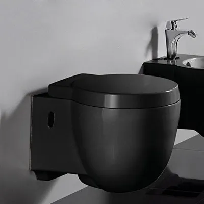 Image de Toilettes suspendues avec couvercle, couleur noire