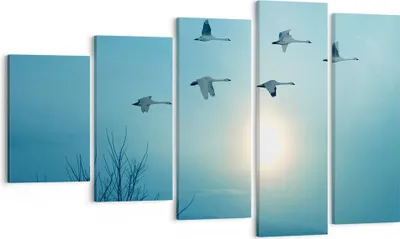 Produktbild von Bild auf Leinwand - Leinwandbild - Storch Vogel Natur - 100x60cm - Wand Bild - Wanddeko - Leinwanddruck - Bilder - Kunstdruck - Wanddekoration - Leinwand bilder - Wandkunst - EG100x60-3802