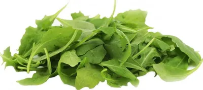 Produktbild von Ruccolasalat frisch ungewaschene (rund 0,100 kg)
