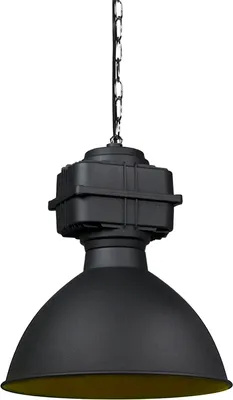 Produktbild von Smarte Industrie Hängelampe Schwarz 38,5 cm inkl  A60 WiFi Sicko