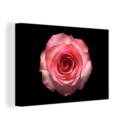 Zdjęcie produktu dla OneMillionCanvasses® - Obrazy na płótnie - 150x100 cm, Róże - różowy - czarny, grafika ścienna, dekoracja ścienna