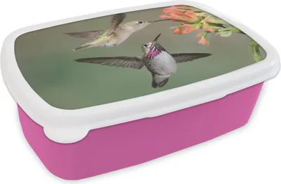 Produktbild von KitchenYeah® Lunchbox Brotzeit Brotdose 17x11 cm Kolibri - Vogel - Blume Kinder Brotzeitdose - Lunchpaket - Brotkasten  - Sandwich Box
