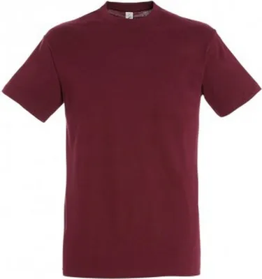 Produktbild von SOLS Regent Herren T-Shirt, Kurzarm PC288 (XL) (Absolutweiß)