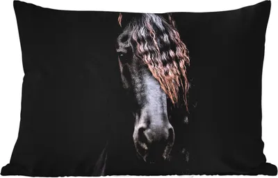 Produktbild von MuchoWow® Outdoor Kissen - Pferde - Friesisch - Mähne - Schwarz - Tiere - 60x40 cm - Wetterfest - Lounge Kissen - Zierkissen - Kissen für Innenräume