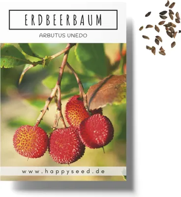 Produktbild von Erdbeerbaum Samen (Arbutus unedo) - Immergrüner Obstbaum mit exotischen Früchten und wunderschönen Blüten