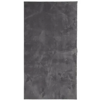 Produktbild von vidaXL Teppich HUARTE Kurzflor Weich und Waschbar Anthrazit 80x150 cm