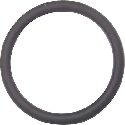 Obrázek produktu pro O-kroužek Georg Fischer GF z EPDM pro šroubové spojky o průměru 40 mm, 1 ks.