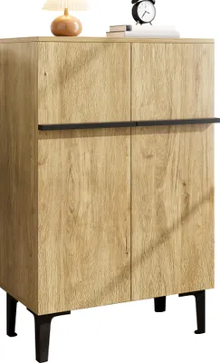 Image de Fortuna Lai Armoire à chaussures moderne avec double porte, grand espace de rangement et étagères réglables – Armoire de rangement pratique pour l'entrée, design peu encombrant 95 × 60 × 34,5 cm