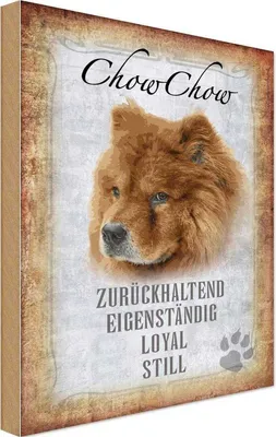 Produktbild von vianmo Holzschild 18x12 cm Chow Hund loyal Tier Haustier