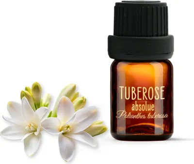 Obrázek produktu pro Absolue Tuberose z Indie - 2 ml