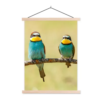 Produktbild von MuchoWow® Textilposter Vögel - Tiere - Bienenfresser 40x53 cm mit holzfarbenen Rahmen - Schlafzimmer