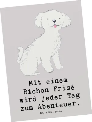 Produktbild von Mr. & Mrs. Panda Postkarte Bichon Frisé Abenteuer - Grau Pastell - Geschenk, Familienhunde, Hundeliebhaber, Hunderassen Beschreibung, Postkarten, Hunderasse, Vielfalt