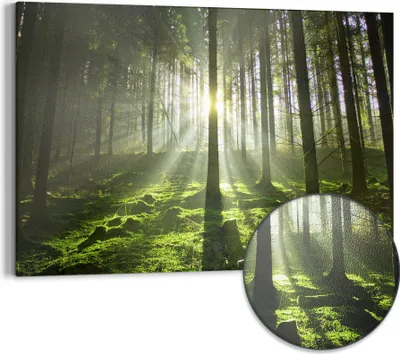 Produktbild von DEQORI Magnettafel Metall 90x60 cm 'Waldlichtspiele' Whiteboard Pinnwand Magnetboard Büro