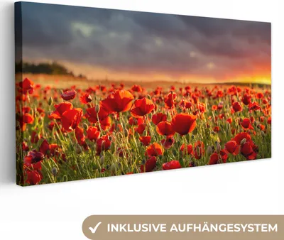 Produktbild von MuchoWow® - Leinwandbilder - Sonnenuntergang über einem Feld von Mohnblumen, Wandbild, Wanddeko Bilder Wohnzimmer, 80x40 cm