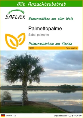 Produktbild von SAFLAX - Palmettopalme - 8 Samen - Mit keimfreiem Anzuchtsubstrat - Sabal palmetto
