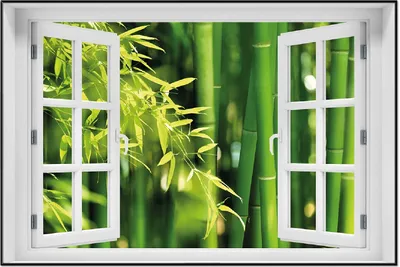 Produktbild von Wallario Wandbild mit Fenster-Illusion: Bambuswald mit grünen Bambuspflanzen, Größe: 61 x 91,5 cm, Poster mit schwarzem Aluminiumrahmen