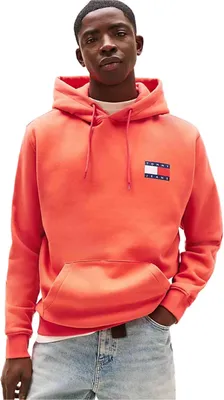 Obrázek produktu pro Mikina s kapucí Tommy Hilfiger DM0DM20738SN6 pro Pánské