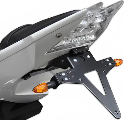 Image de ZIEGER Classic Support de plaque d'immatriculation compatible avec BMW S 1000 RR BJ 2009-18 / S 1000 R BJ 2014-18
