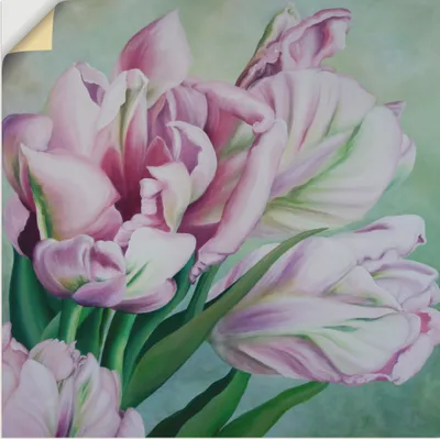 Produktbild von ARTland Wandbild, selbstklebend Tulpen Größe: 50x50 cm