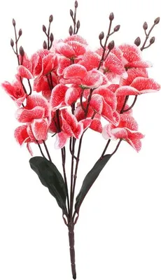 Productafbeelding van Rode kunstorchideeën - 5 stuks, hoogwaardige decoratieve bloemstelling, 38 cm