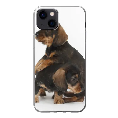 Produktbild von MuchoWow® Handyhülle Schutzhülle Hülle für iPhone 13 mini Studiofoto von zwei süßen Dackeln Silikon Softcase Handy Hülle - Softcase