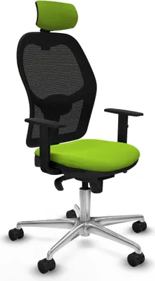 Immagine prodotto di Sedia da ufficio con poggiatesta Jorquera Piqueras y Crespo 1D086N2 Colore Pistacchio