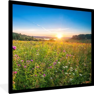 Produktbild von MuchoWow® Gerahmtes Poster Sonne - Gras - Blumen 40x40 cm - Poster mit Schwarzem Bilderrahmen Wandposter Rahmen Foto Bilder - Mit Rahmen - Wanddekoration Schlafzimmer