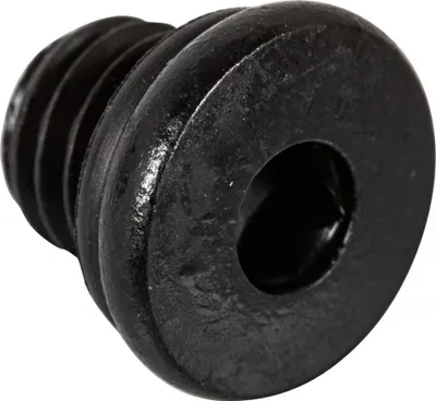 Image de SHIMANO Vis de purge BL-M987 - Bleed Screw, 2 g, Y8WC98010