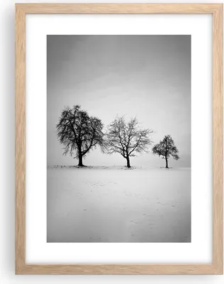 Produktbild von Gerahmtes Poster - Rahmen in heller Eiche - Winter Bäume Schnee - 30x40 cm - Wand Bild - Wanddeko - Wandbilder - Kunstposter - Wandposter - Bilderrahmen - Bilder - Kunstdruck - P2NPA30x40-4958