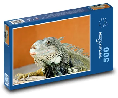 Obrázek produktu pro Puzzle 500 Leguán v exotické krajině - martinpuzzle
