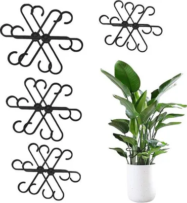 Image de Tuteurs avec anneaux de soutien - 8 pièces - 4 tailles - adaptés aux plantes