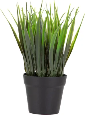 Zdjęcie produktu dla HOMLA SZTUCZNA ROŚLINA DONICZKOWA B2 ERBA Essentials 19 cm
