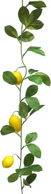 Produktbild von Kunstliche Blume Zitrusfruchtgirlande Zitrone - 180 cm - gelb - Zitrusfruchtgirlande - Dekoration